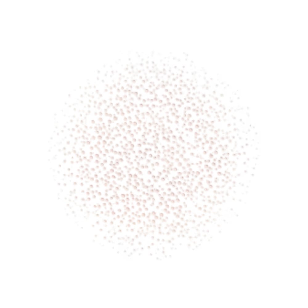 Dior Prestige La Micro-Brume De Rose