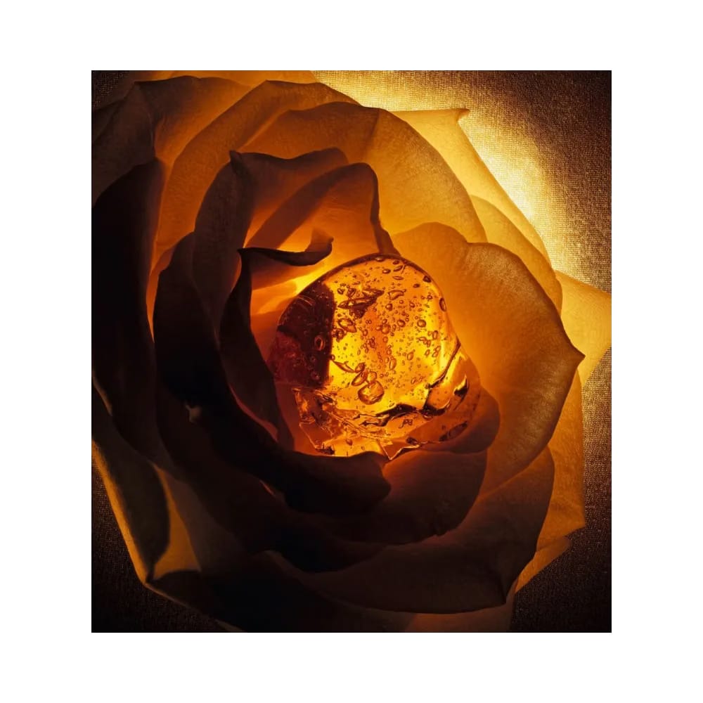Dior Ambre Nuit Eau De Parfum - Amber And Floral Notes