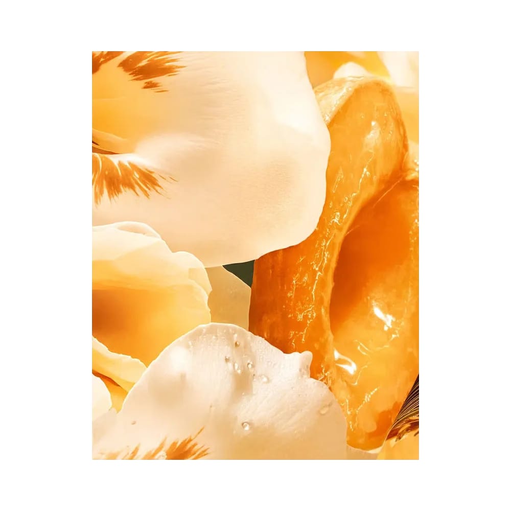 Dior J’adore Eau De Parfum Solar And Floral Notes