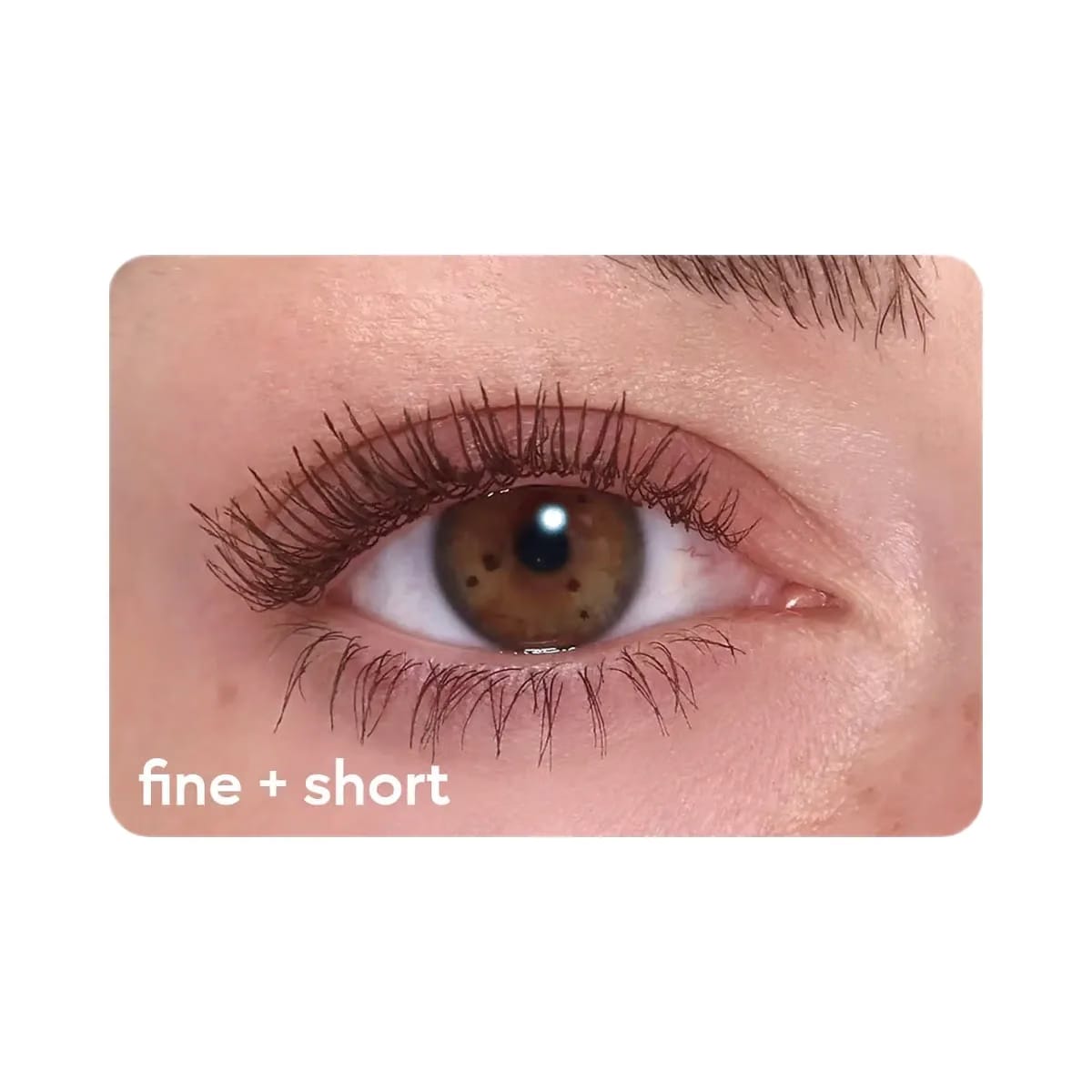 Kylie Kylash Volume Mascara & Classic Matte Palette Duo