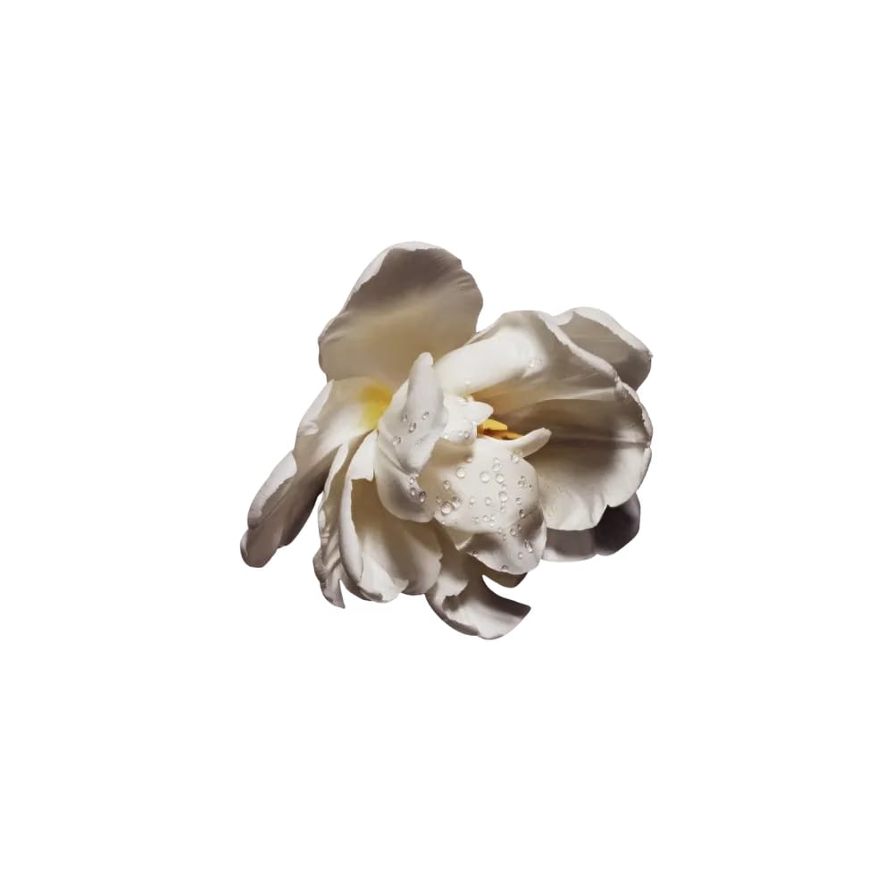 Dior Cuir Saddle Eau De Parfum – Leather And Floral Notes