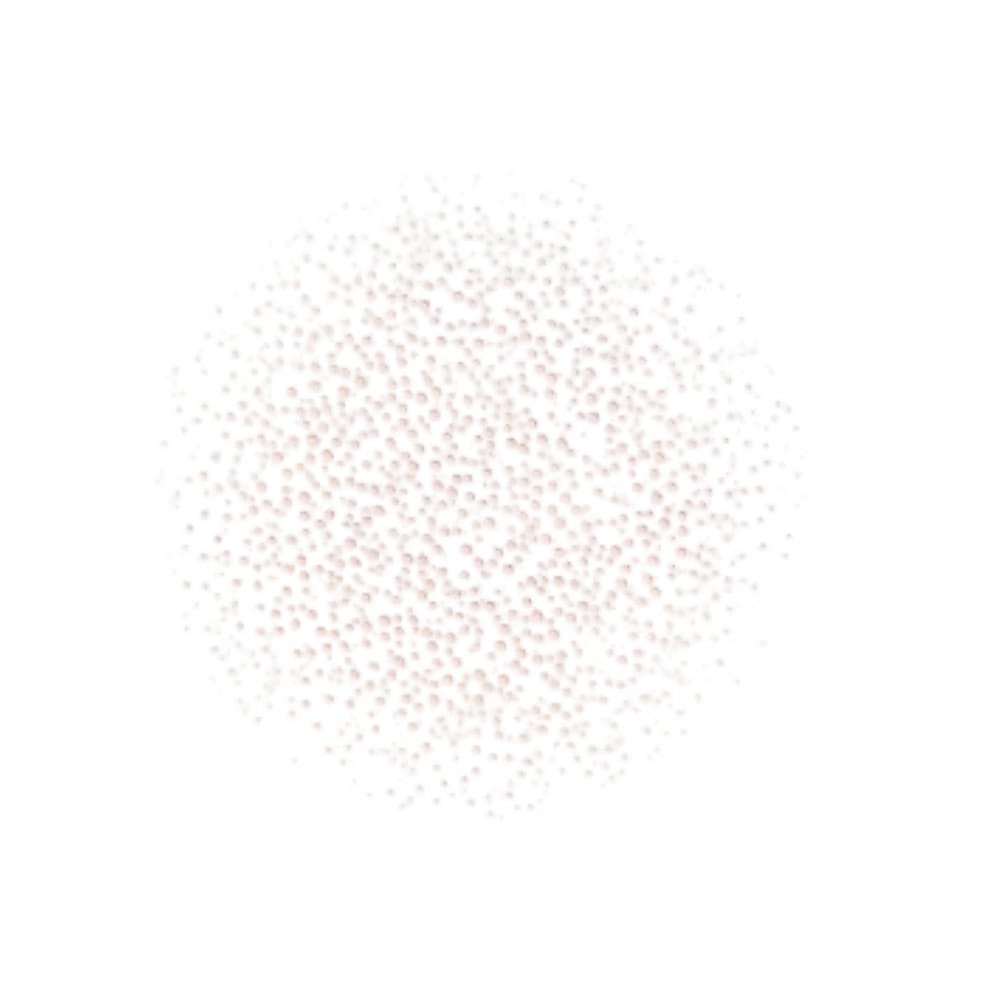 Dior Prestige La Micro-Brume De Rose refill