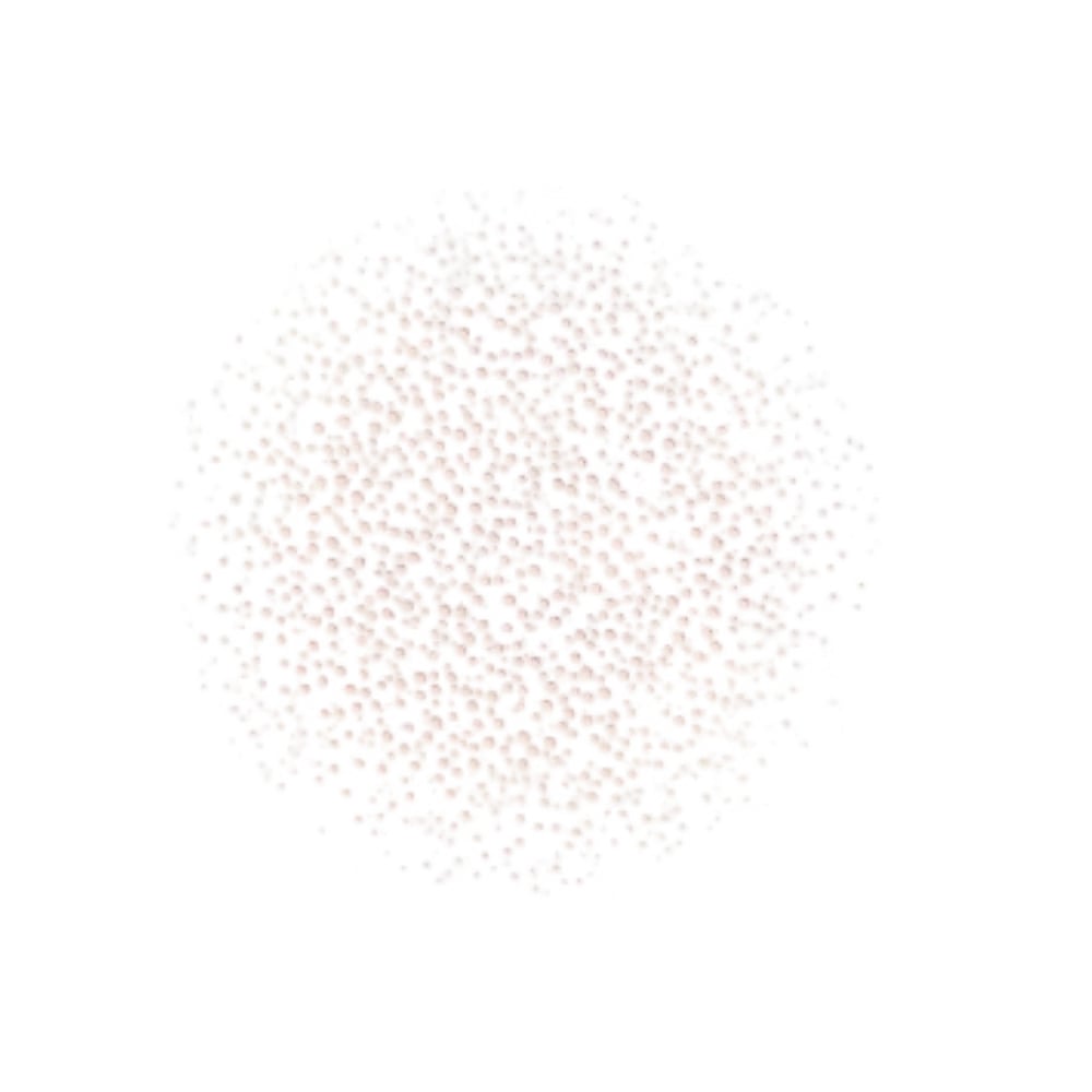 Dior Prestige La Micro-Brume De Rose refill