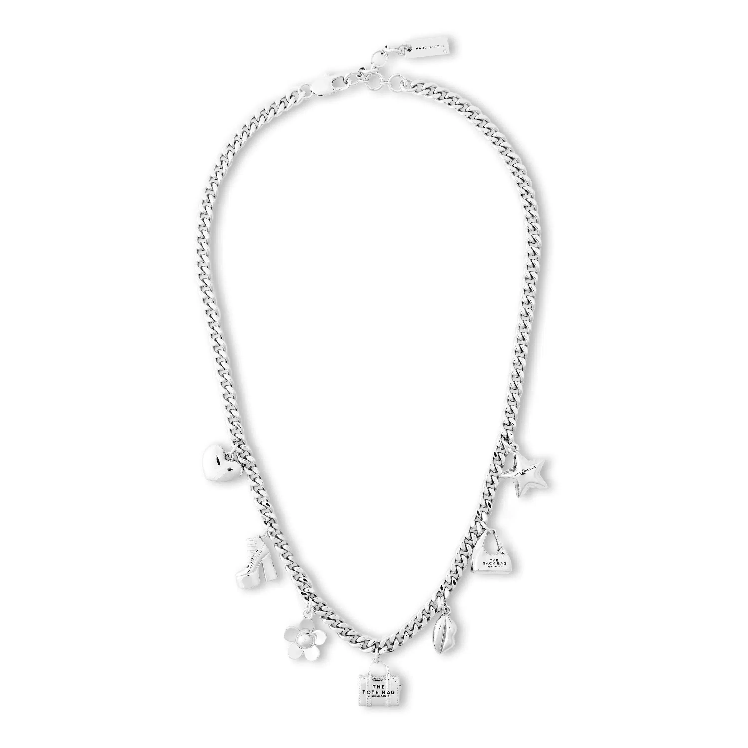 Icon Chrome Chain Necklace