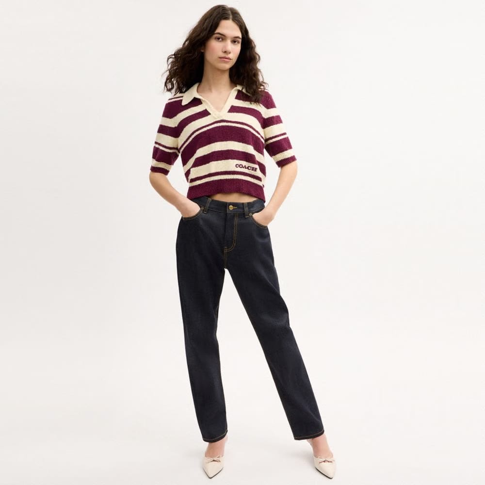 Striped Knit Polo