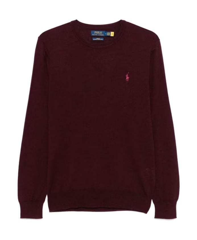 Polo Ralph Lauren Stylish Sweaters Collection