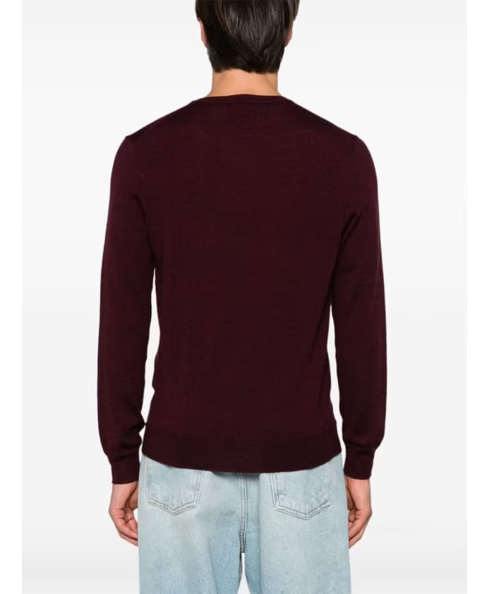 Polo Ralph Lauren Stylish Sweaters Collection