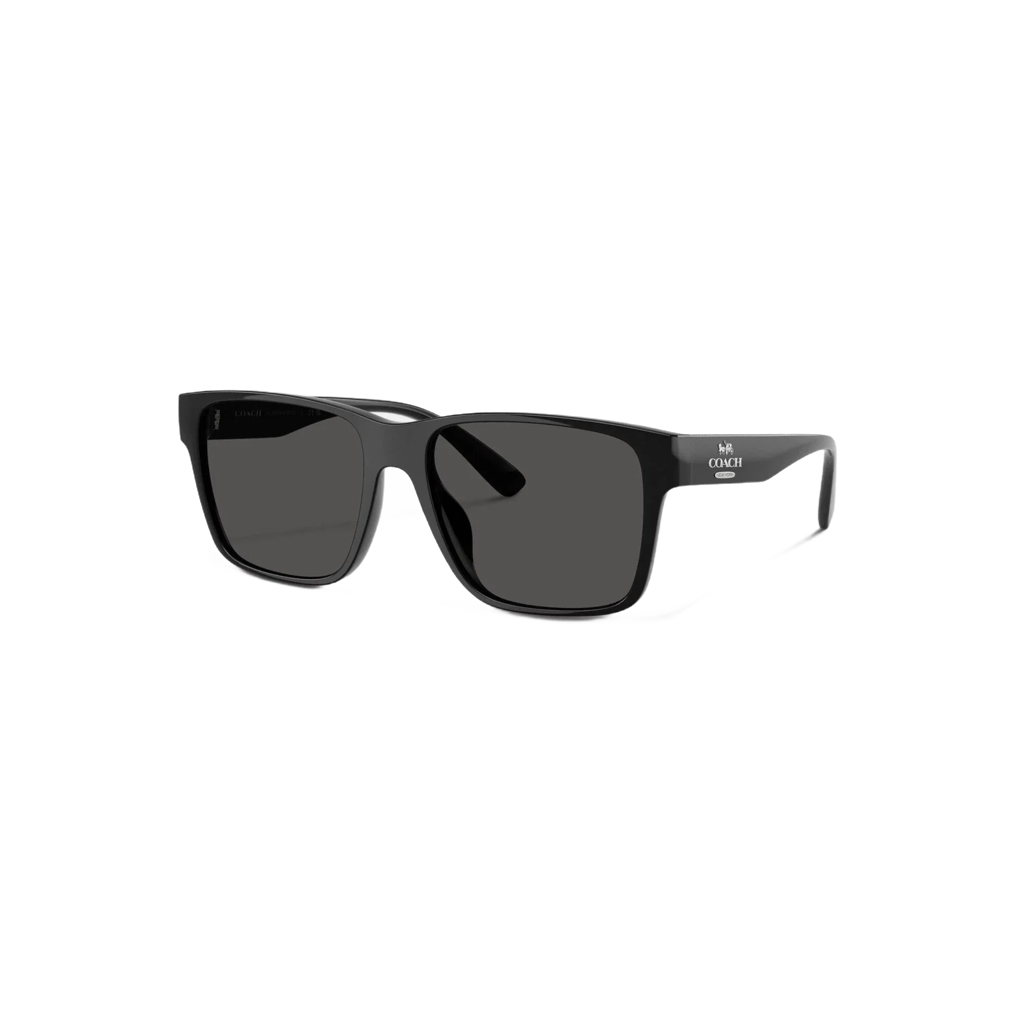 Coach Square Sunglasses Black