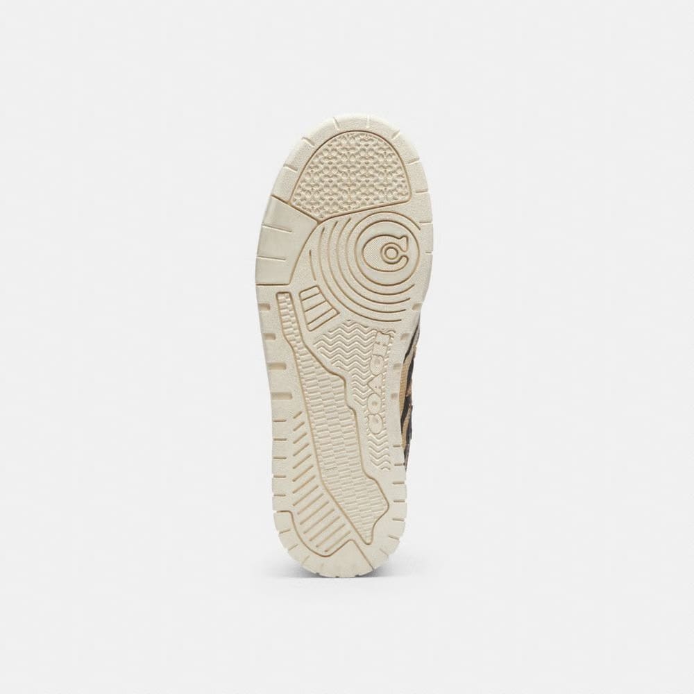 Soho Sneaker With Stars