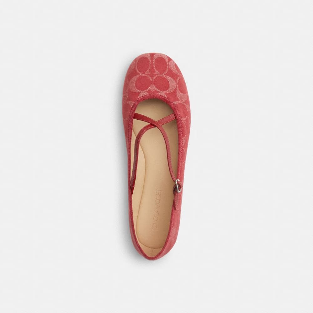 Phoebe Ballet Flat In Signature Denim