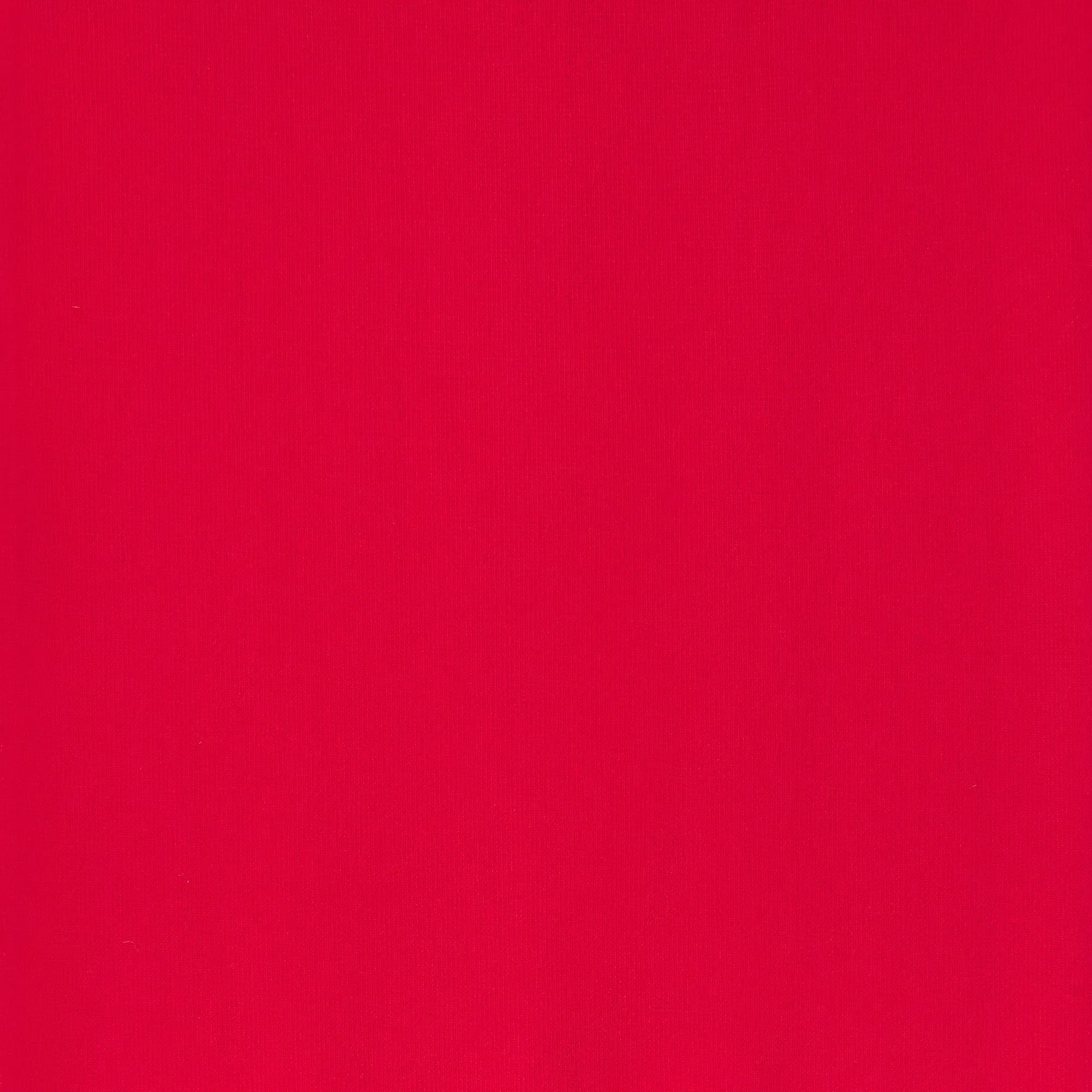 HOSIERY THIGH HIGH STOCKINGS | RUBY