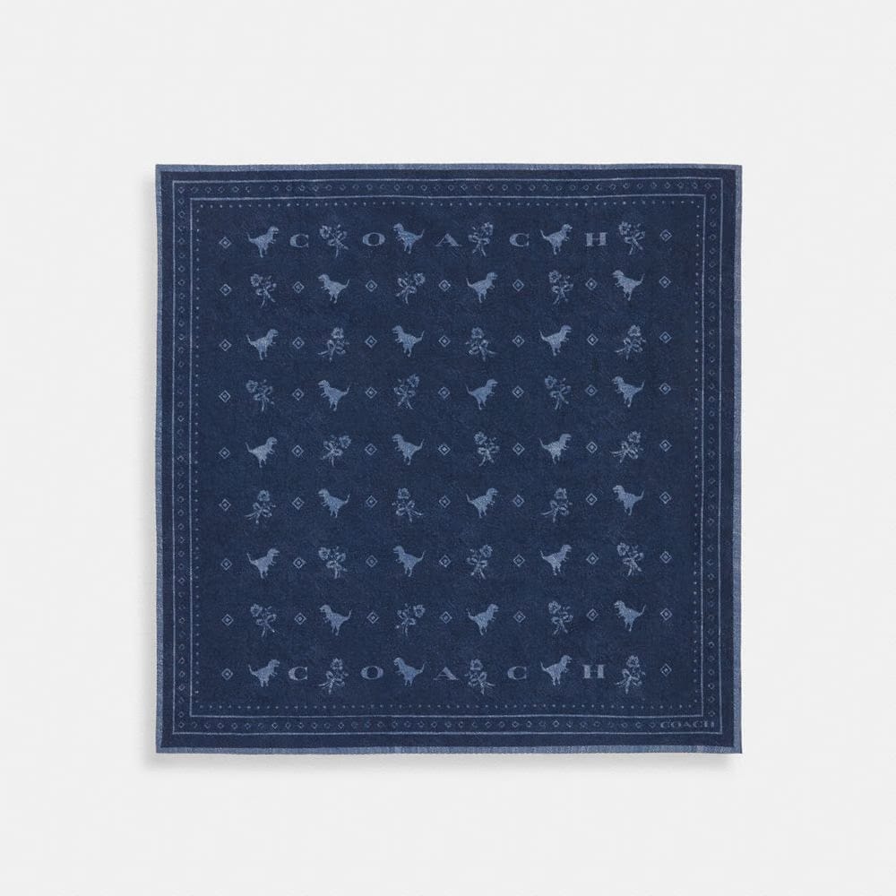 Dino Print Bandana