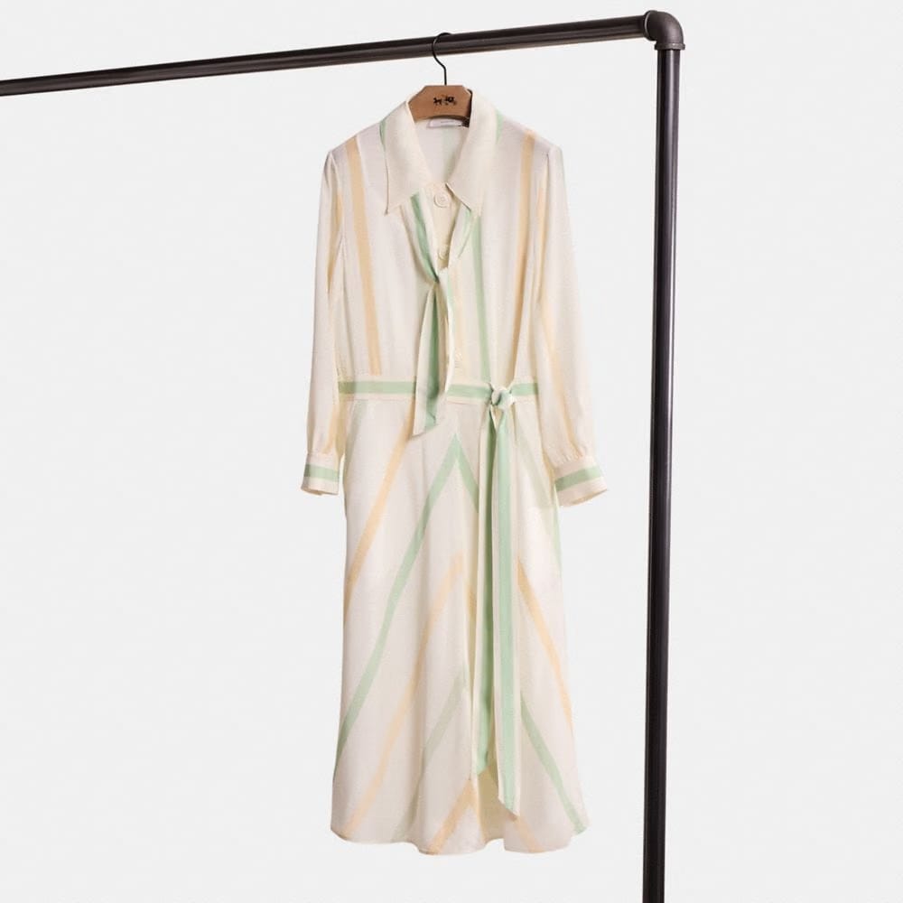 Restored Twenties Shirt Dress