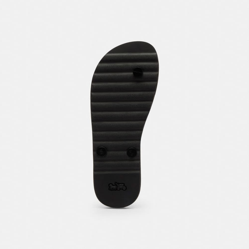 Zayn Flip Flop