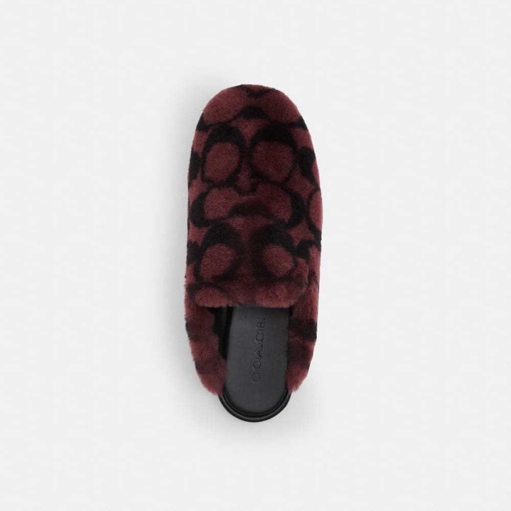 Slipper In Signature Shearling