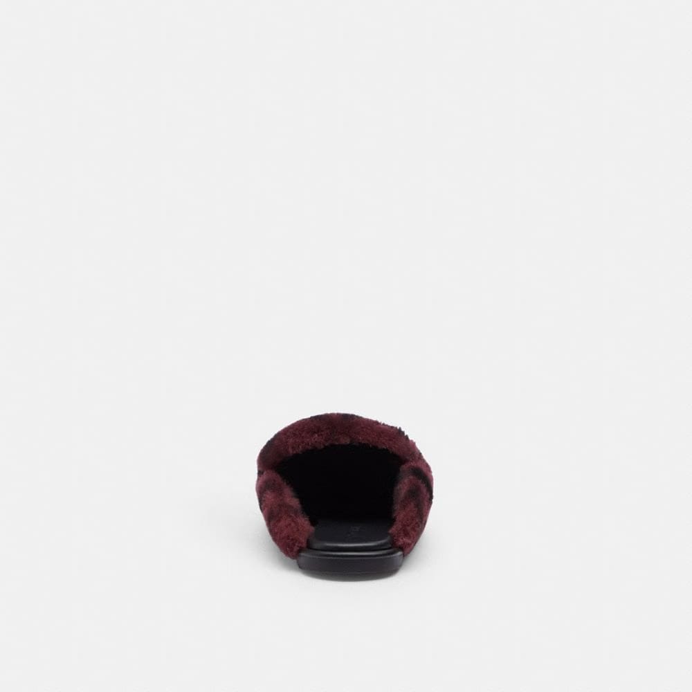 Slipper In Signature Shearling