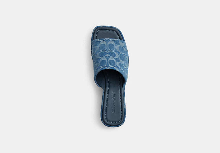 Phoebe Platform Sandal In Signature Denim