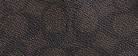 Rowan Large Satchel Bag In Signature Canvas