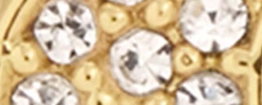Signature Clip-On Earrings