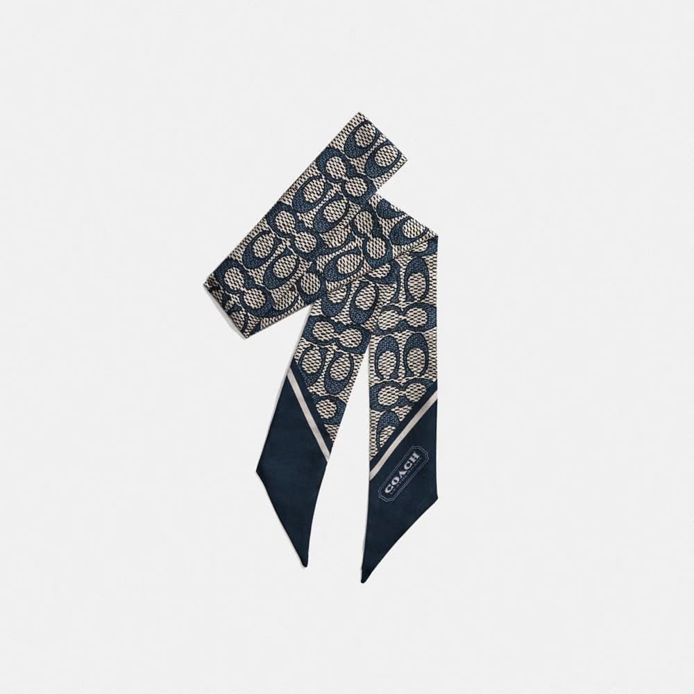 Textured Signature Print Silk Skinny Scarf