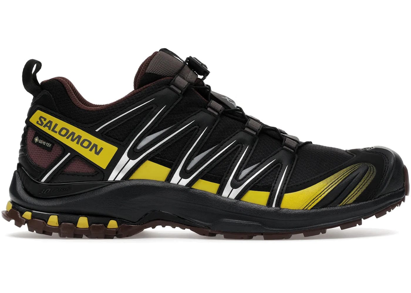 Salomon Xa Pro 3D Gore-Tex Cress Green French Roast