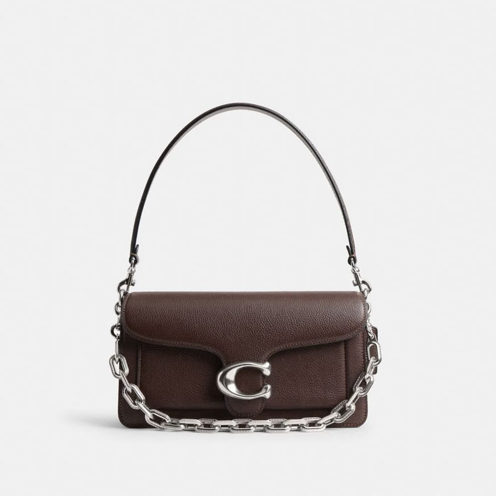 Coach Link Chain Strap Silver