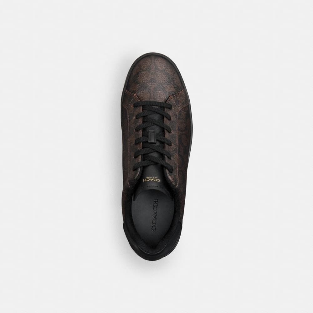 Men's Coach High Line Sneaker In Signature Canvas Walnut & Black