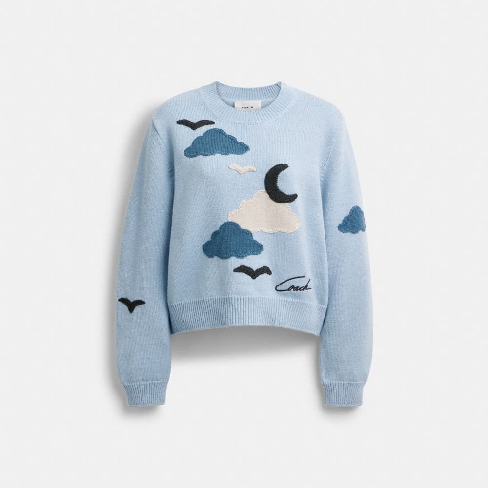 Applique Sweater