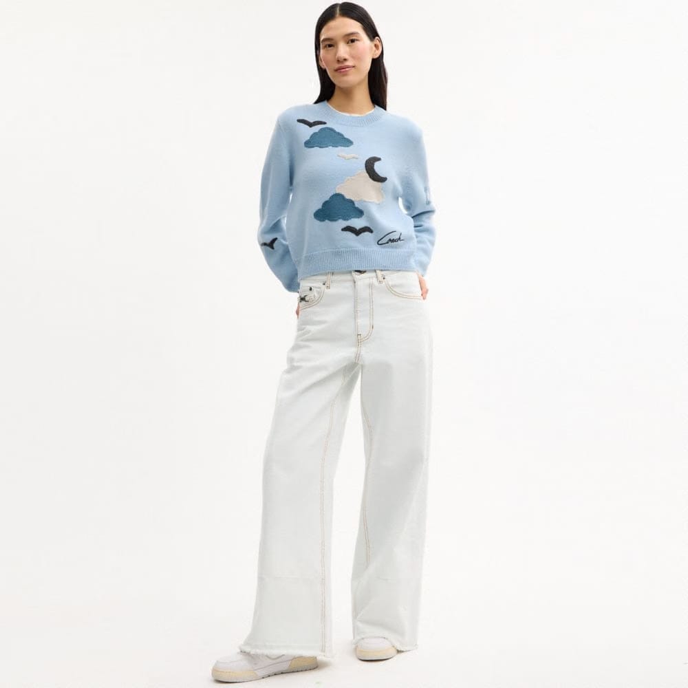 Applique Sweater