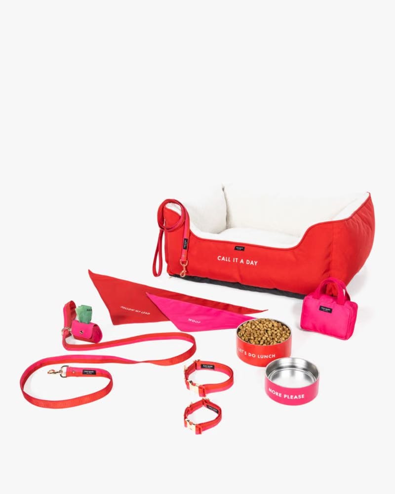 Colorblock Leash S/m