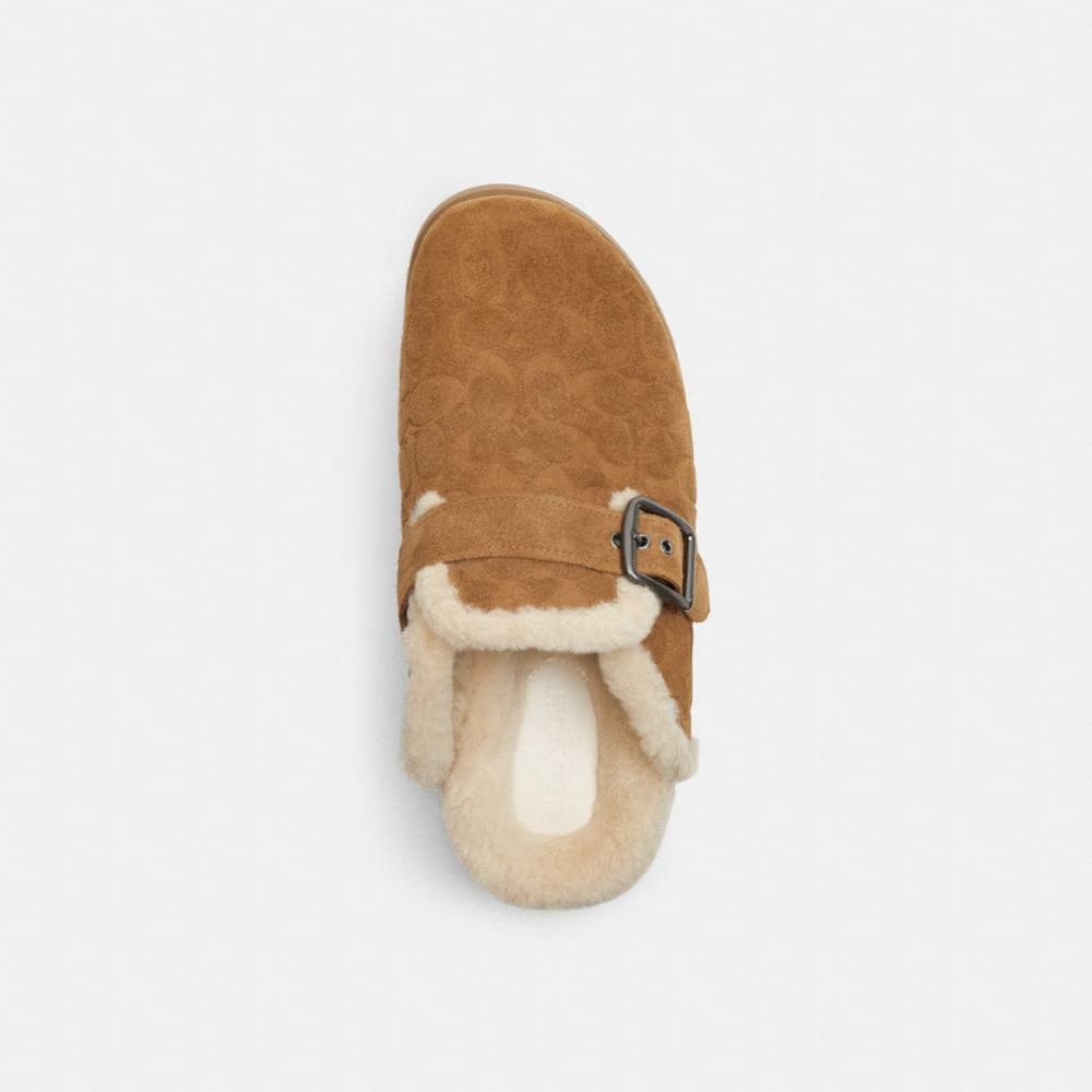 Buckle Clog In Signature