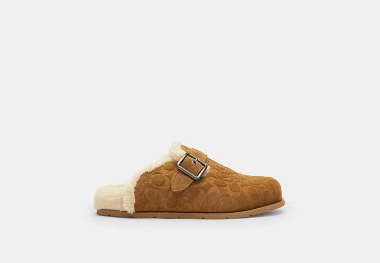 Buckle Clog In Signature