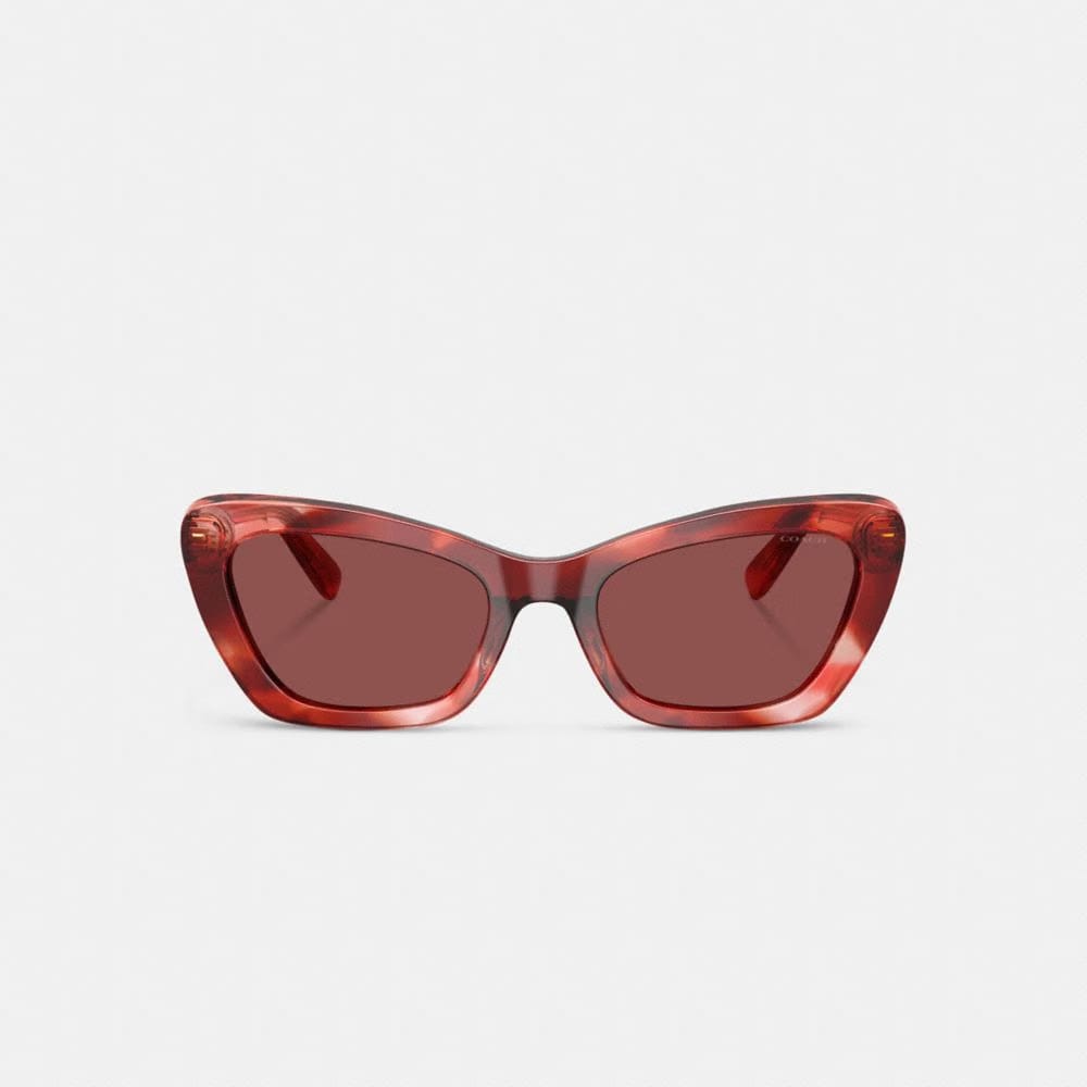 Wire Cat Eye Sunglasses