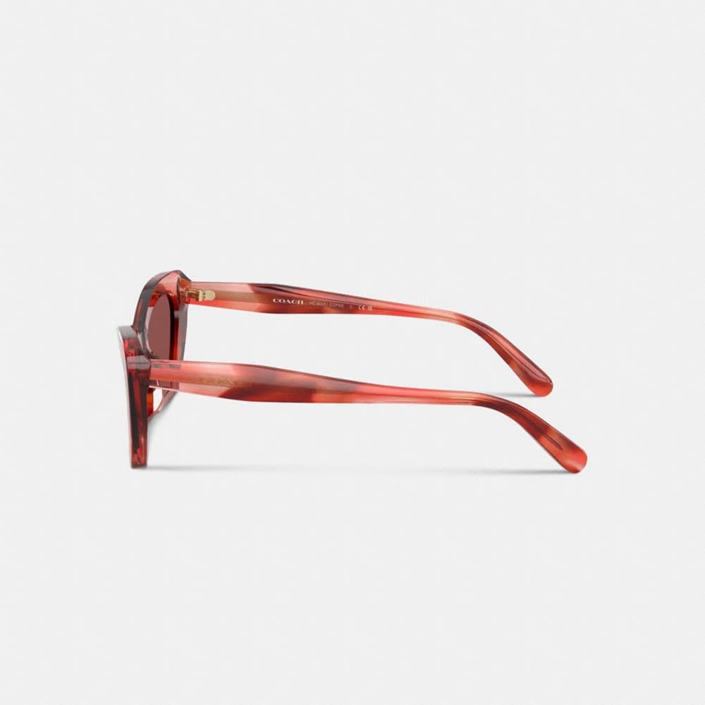 Wire Cat Eye Sunglasses