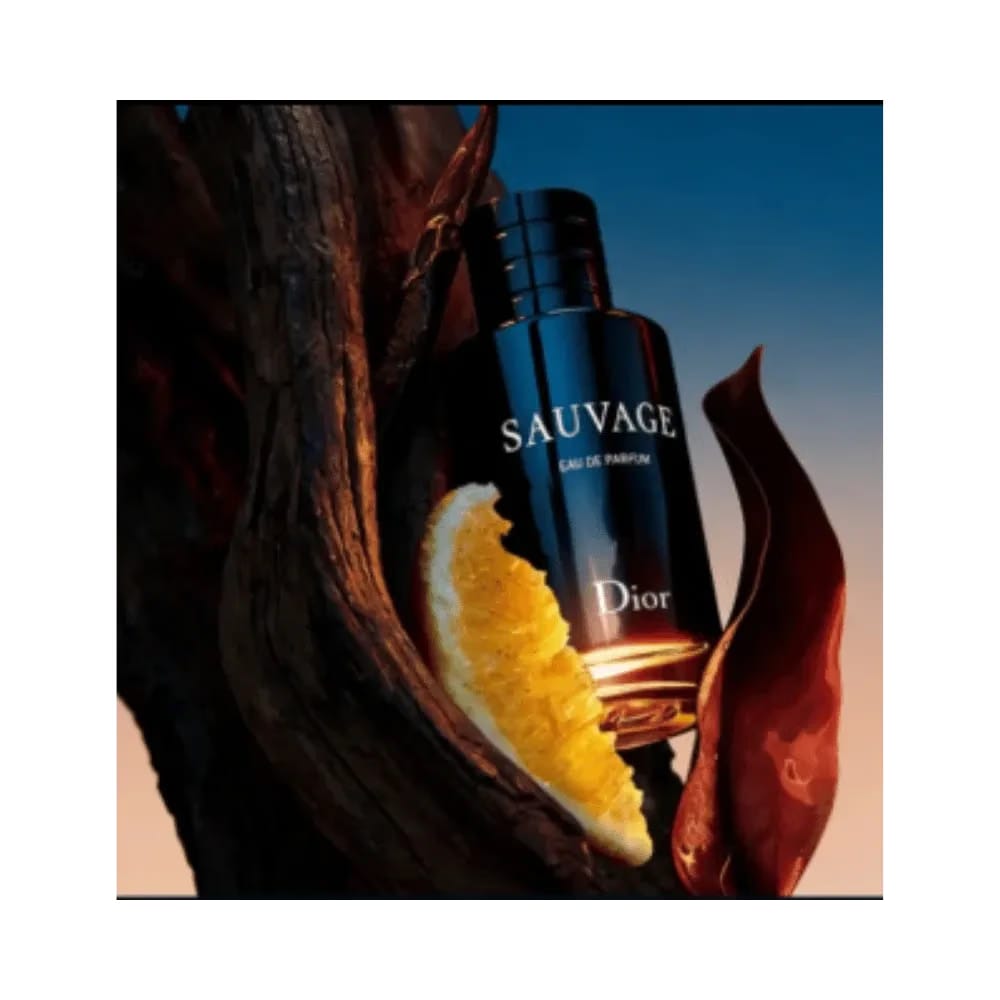 Dior Sauvage Perfume and Shower Gel Gift Set