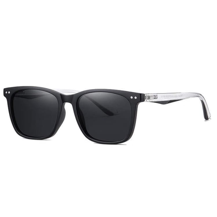 Tribune Sunglasses
