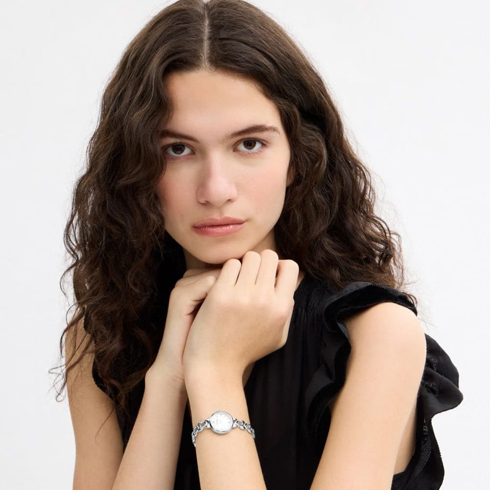 Coach Iris Watch, 22 Mm Stainless Steel
