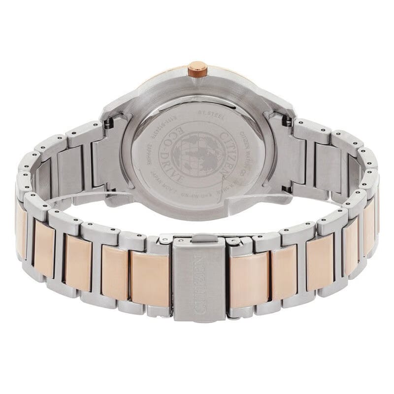 Citizen Eco-Drive Silver Dial Watch
