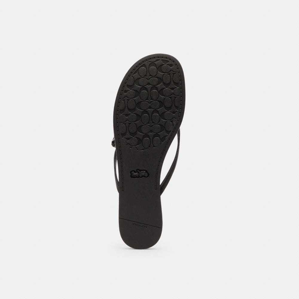 Women's Coach Bow Flip Flop Black