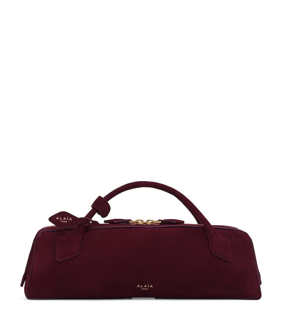 Suede Le Teckel Top-Handle Bag