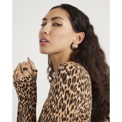 Brown Leopard Print Long Sleeve Fitted Top