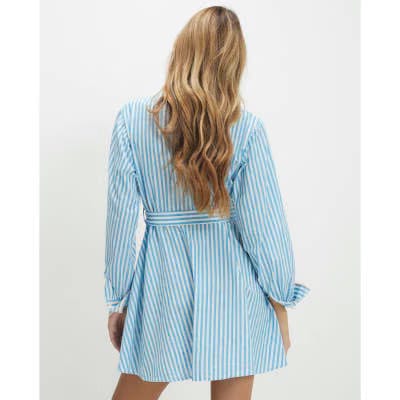 Blue Striped Embroidered Shirt Mini Dress