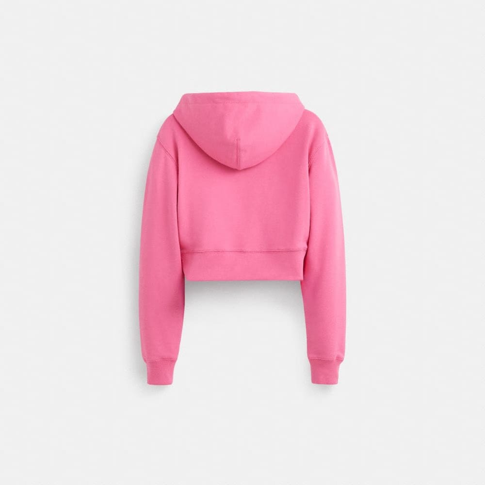 Restored Horse And Carriage Cropped Hoodie