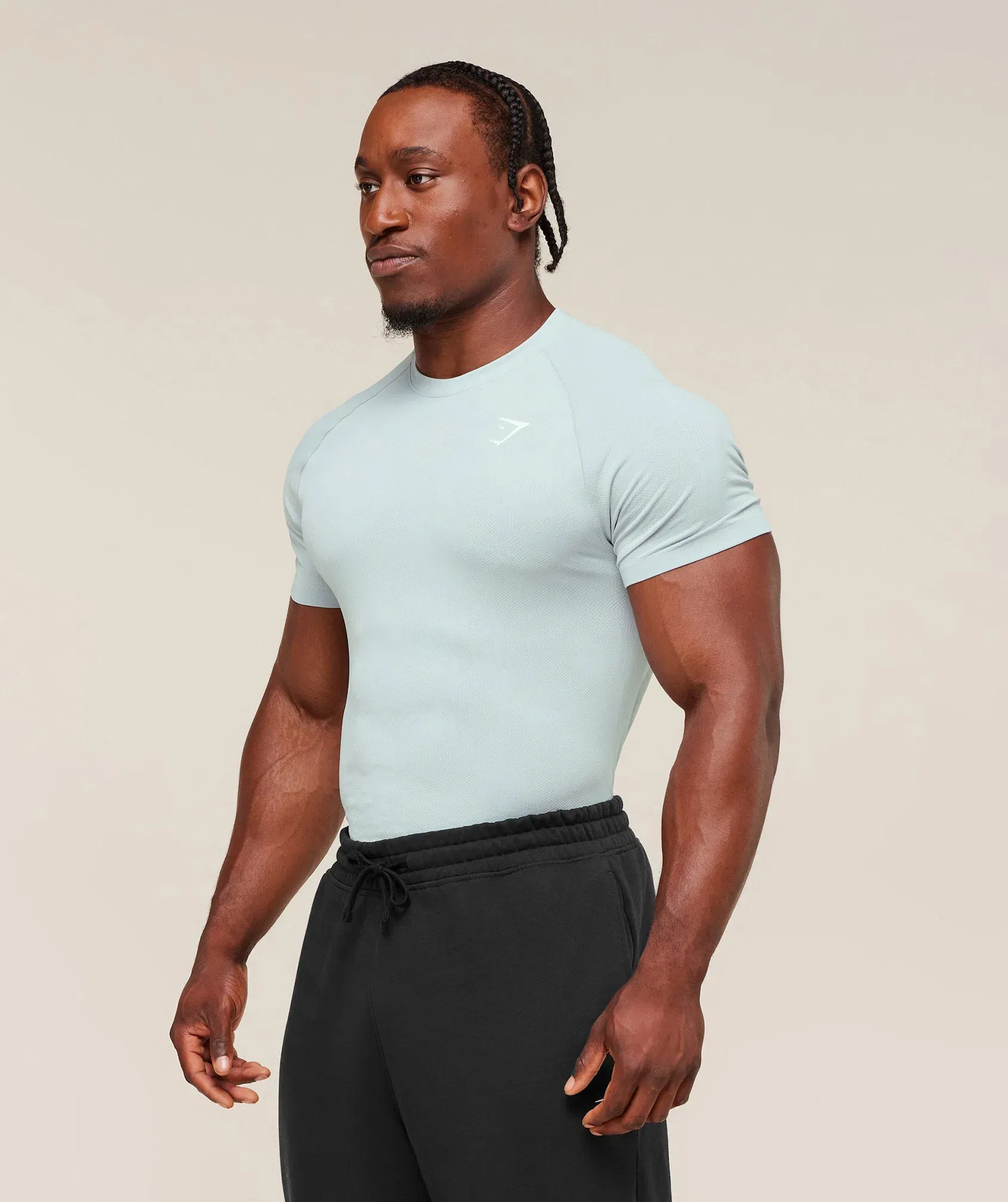 Gymshark Geo Seamless T-Shirt - Smoke Blue/Soft White