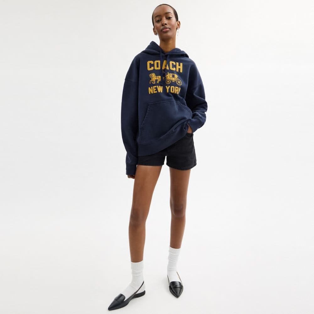 Horse And Carriage Hoodie
