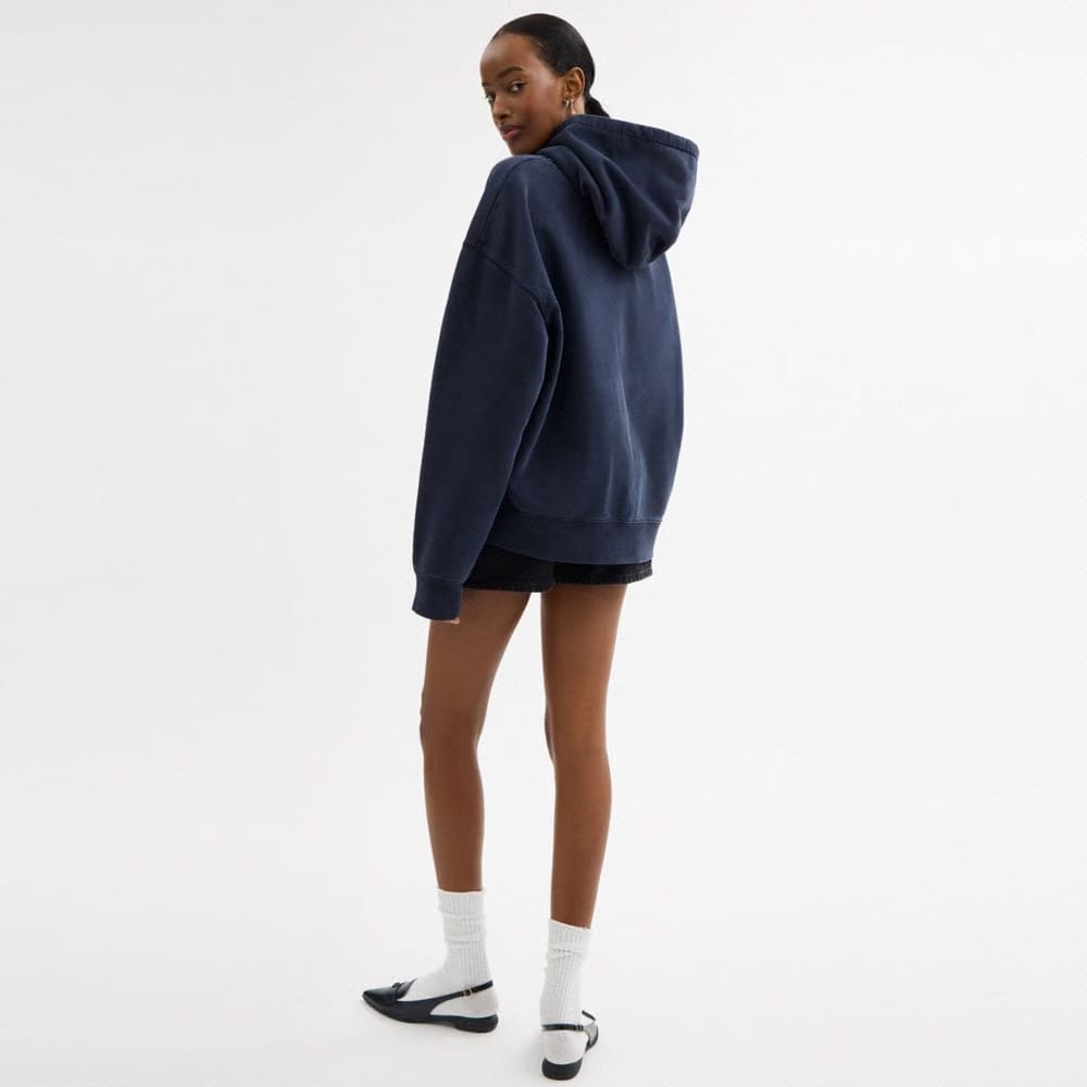 Horse And Carriage Hoodie