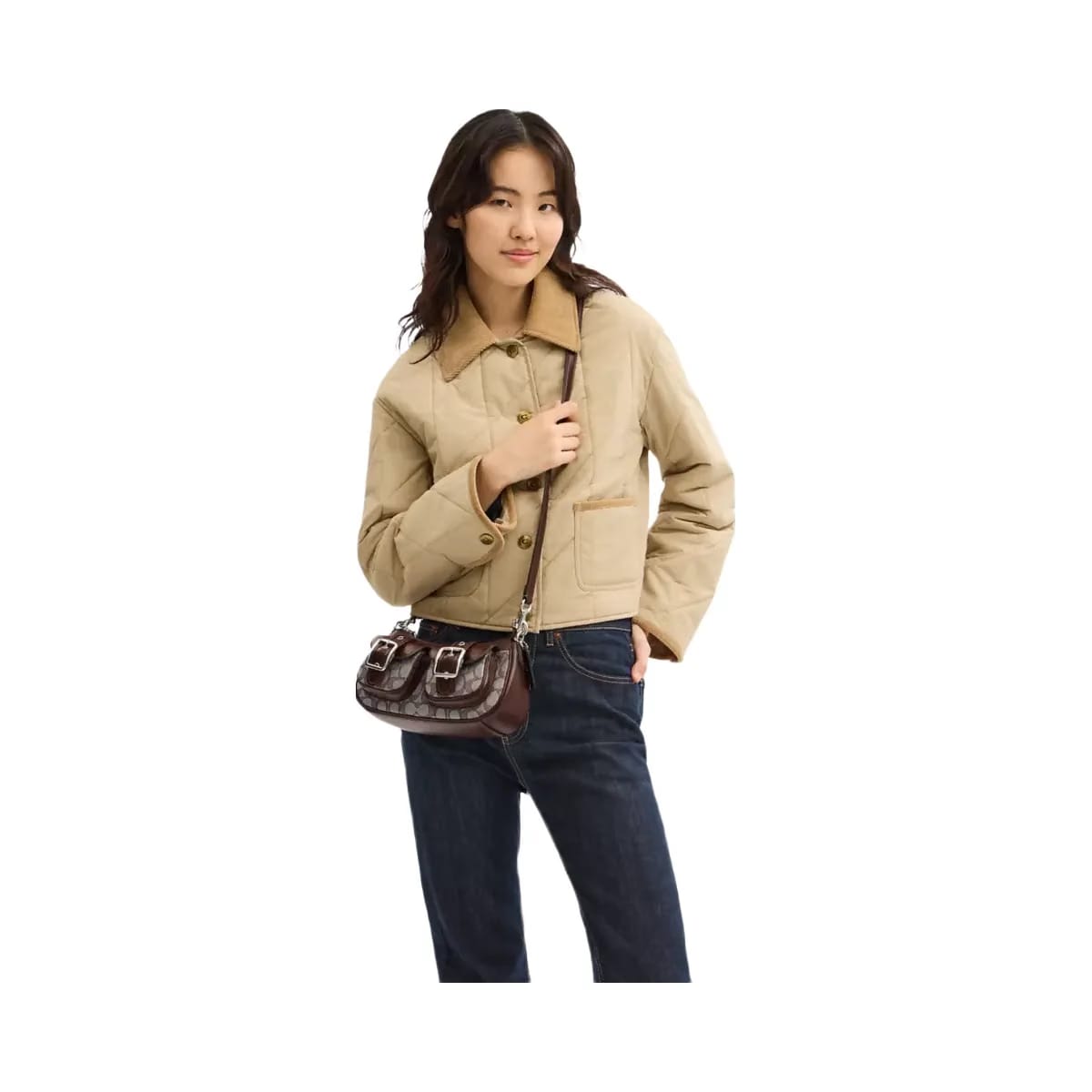 Coach Ashton Bag In Signature Jacquard in Silver Oak Maple