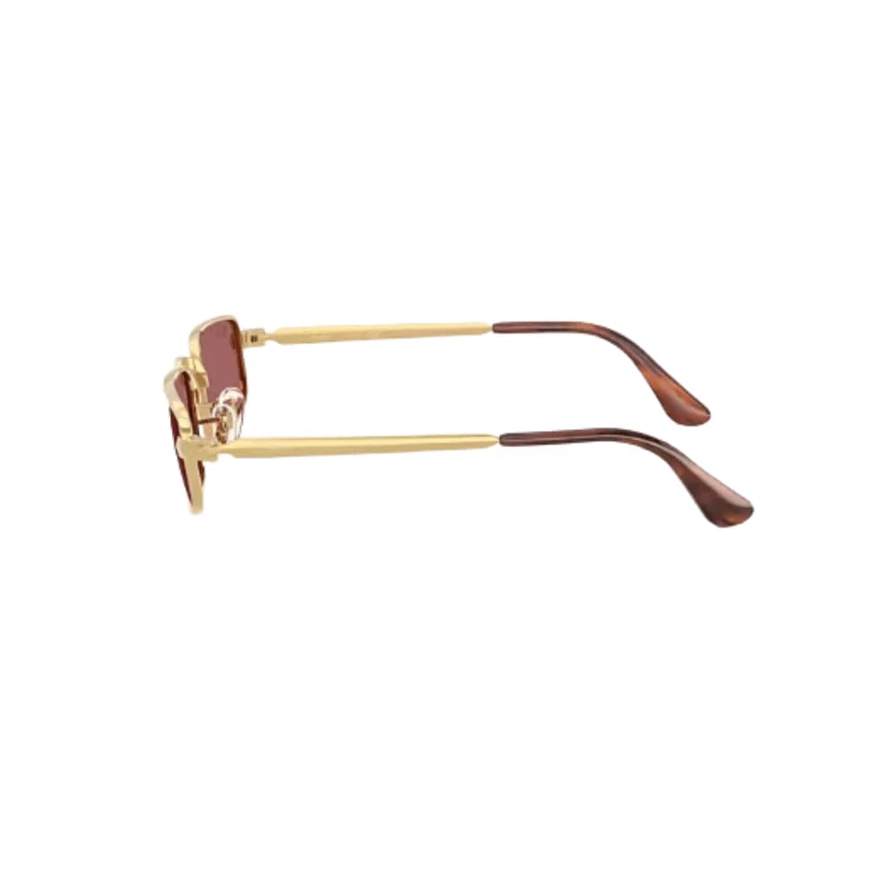 Rayban Rb3927 By A$ap Rocky Purple