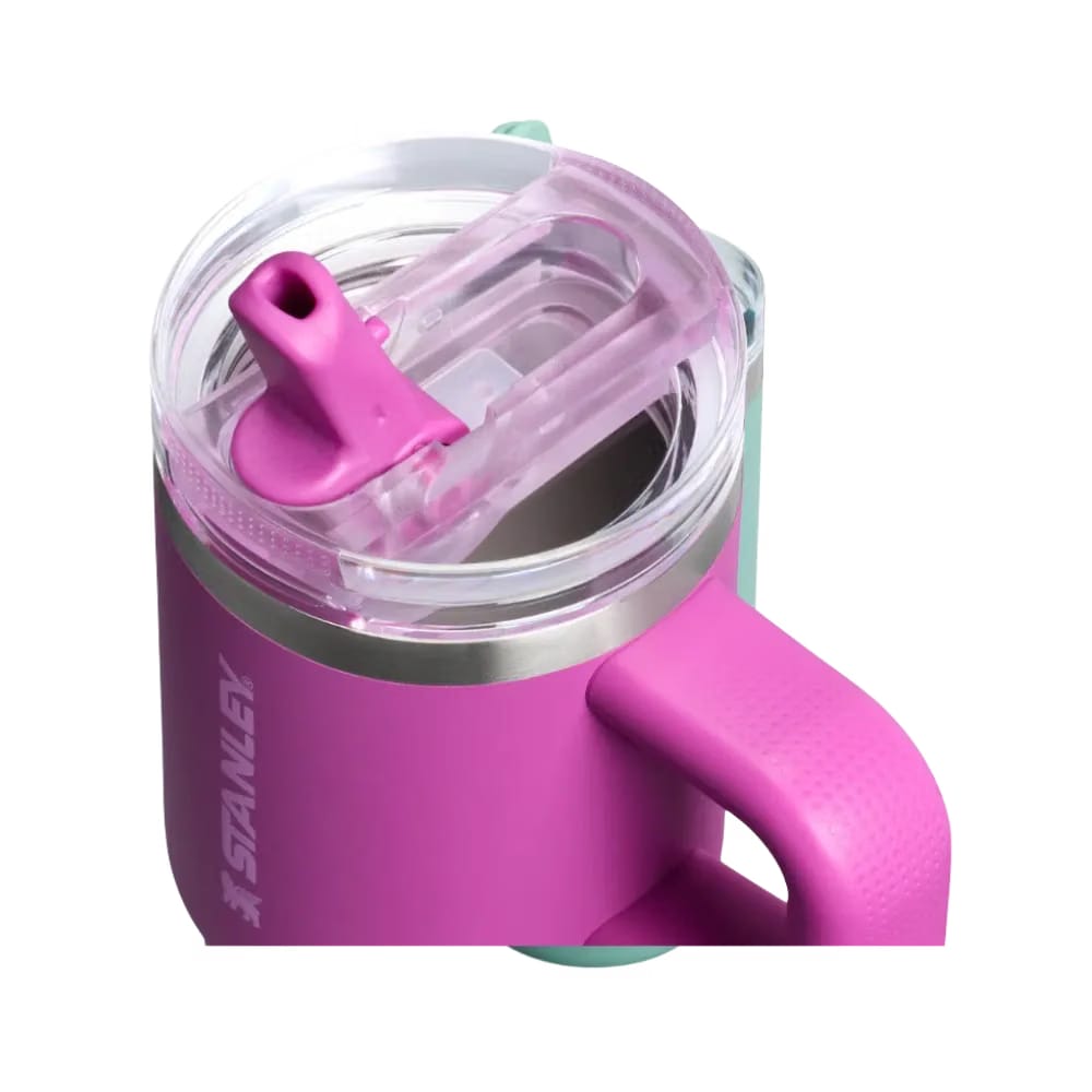 Stanley Quencher ProTour Flip Straw Tumbler 14 OZ Dark Blossom