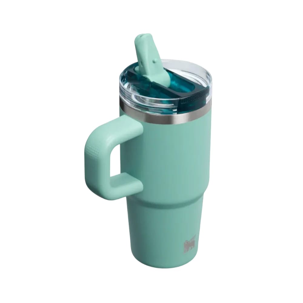 Stanley Quencher ProTour Flip Straw Tumbler 14 OZ Spring Green